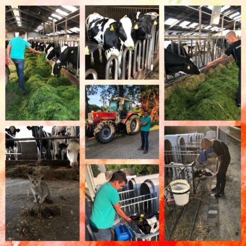 activiteit-5
